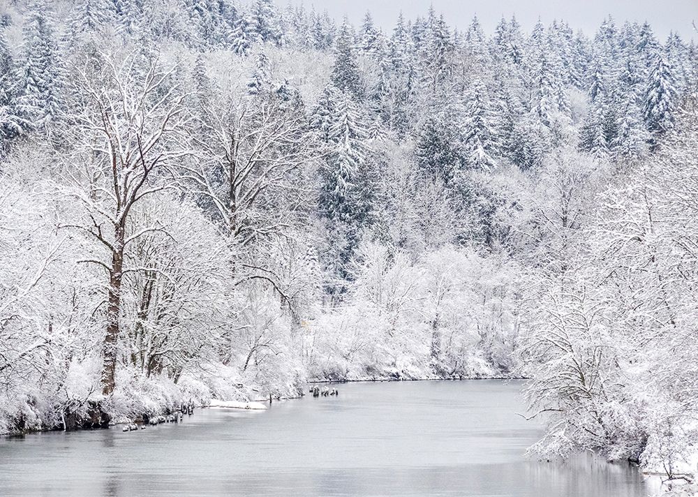 Washington State-Fall City and the Snoqualmie river with winter fresh snow fall